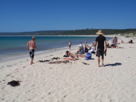 chilling-hamelin-bay-just-another-beautiful-wa-beach